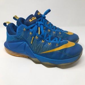 Nike Lebron XII Sneakers